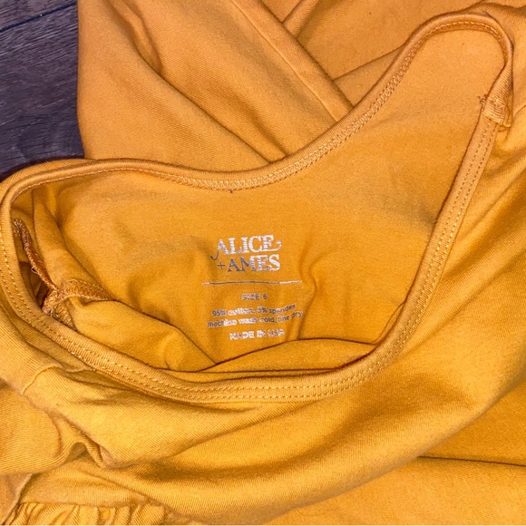 Alice + Ames The Short Sleeve Ballet Dress - Picture 3 of 3